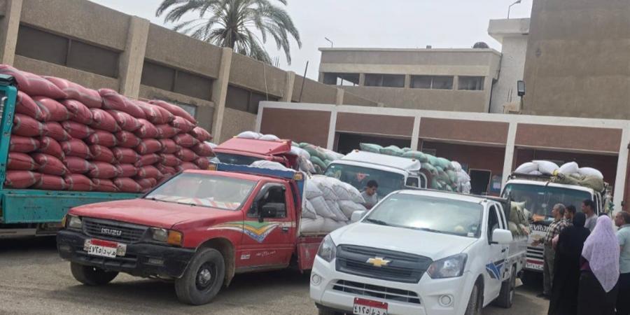 توريد القمح بسوهاج يتجاوز 5800 طن.. انتظام العمل واستبعاد غير المطابق للمواصفات