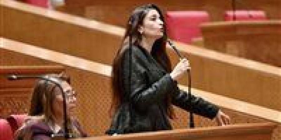 النائبة إيرين سعيد لـ برلمان تحيا مصر: قرار تطبيق العدادت الكودية غير عادل وظلم فئة كبيرة للشعب