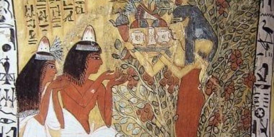 رمز الخلود.. هل قدس المصريون القدماء الشجر؟