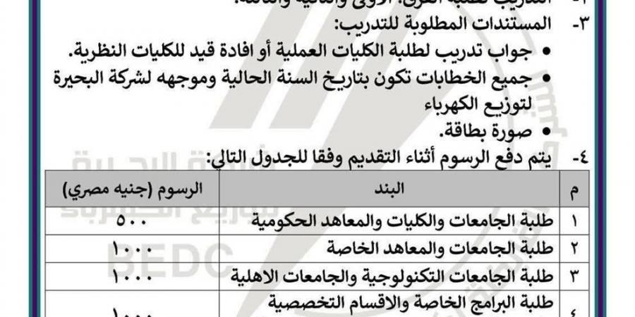 "البحيرة للكهرباء" تعلن فتح باب التقديم للتدريب الصيفي 2026