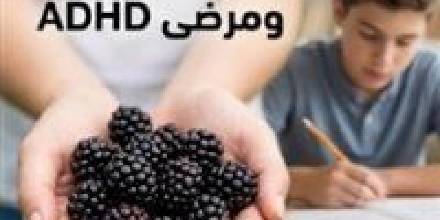 “ثمرة الإعجاز والتركيز ”.. كيف يتحول التوت الأسود إلى سلاح طبيعي لدعم مرضى ADHD؟