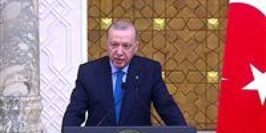 أردوغان وسيطاً.. تحركات تركية مكوكية لجمع قادة روسيا وأوكرانيا في قمة تاريخية