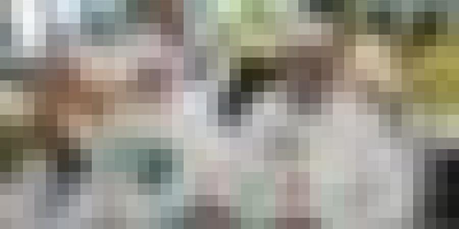 الخطوط الجوية الجزائرية تجند إمكانياتها لنقل أزيد من 41 ألف حاج