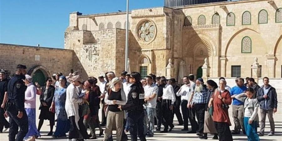 دول عربية وإسلامية تدين اقتحام مستوطنين المسجد الأقصى ورفع علم الاحتلال