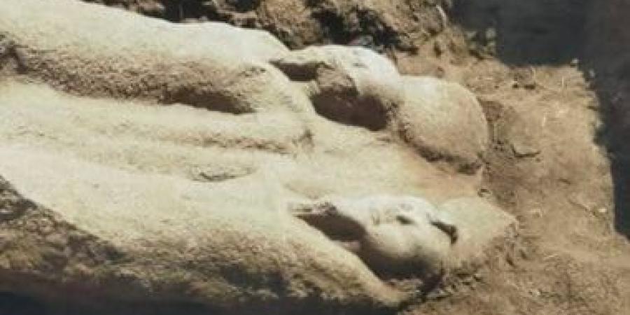 اكتشاف تمثال أثرى بالشرقية يرجع لرمسيس الثاني.. أشهر ملوك الدولة الحديثة