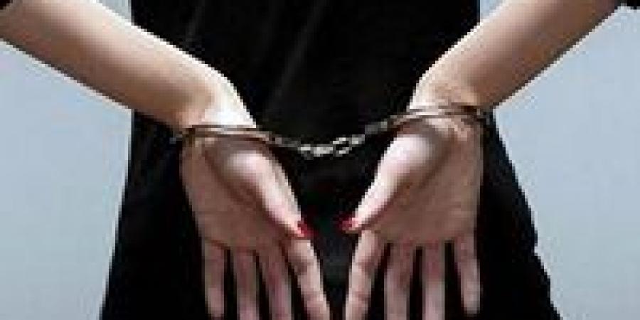 «خلاف السطح يتحول لمعركة كاميرات».. ضبط سيدة حطمت مراقبة جارتها في البحيرة