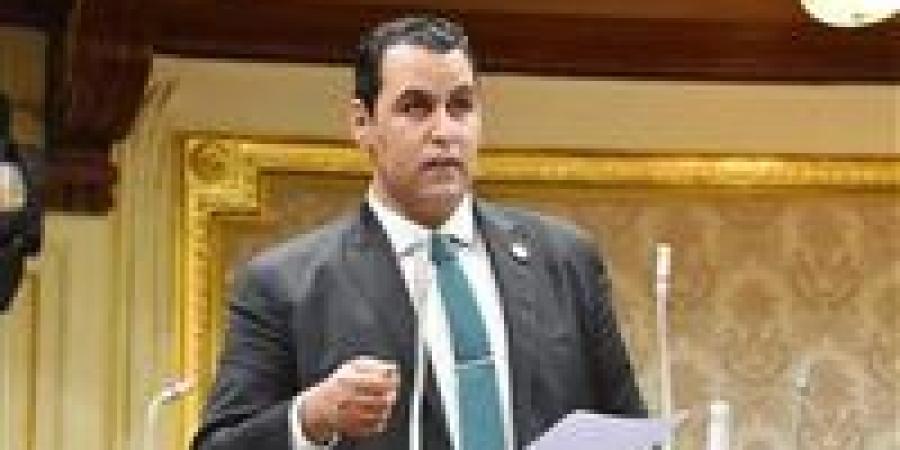 النائب إمام منصور: قانون حماية المنافسة يضرب الاحتكار في مقتل ويعيد ترتيب السوق المصري