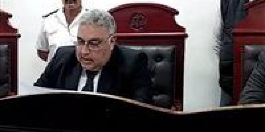 نهاية مأساوية.. الإعدام لربة منزل أنهت حياة رضيعتها داخل دولاب بالبحيرة