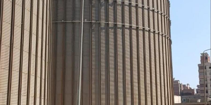 "تموين الدقهلية": 3352 طن قمح محلي.. وجولات ميدانية لضمان انتظام استلام المحصول