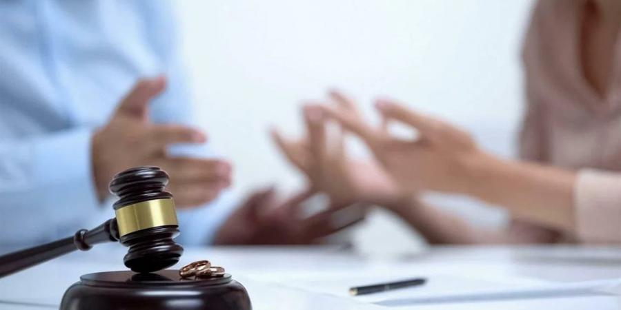 مهندس يستغيث أمام محكمة الأسرة لتمكينه من رؤية طفلته ولو بالفيديو