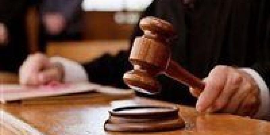 ثورة تشريعية لحماية الأطفال من الجرائم الرقمية..مشروع قانون جديد يضرب الاستغلال الجنسي الإلكتروني بقبضة حاسمة