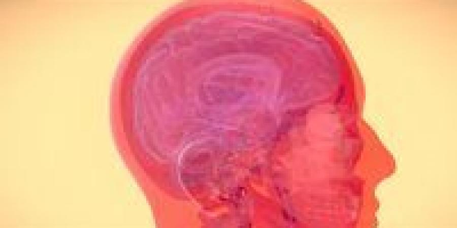 خطوات بسيطة لحماية الدماغ وتأخير التدهور المعرفي وتحسين الذاكرة يومياً