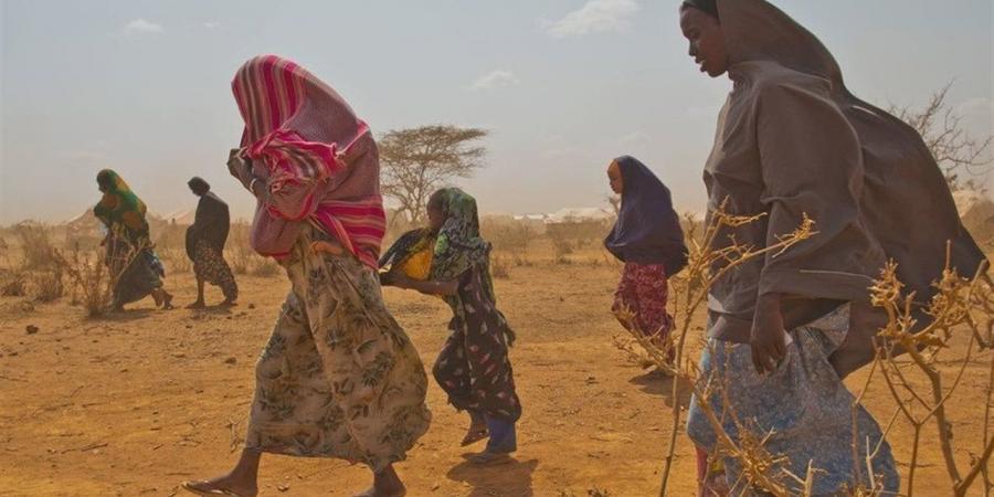 عاجل.. الجفاف يشرد 62 ألف شخص في الصومال مع اشتداد الصدمات المناخية
