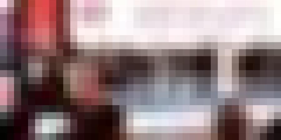 جسر جوي لنقل 30 ألف رأس بقر من الولايات أمريكية لتجسّيد مشروع بلدنا الجزائر