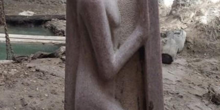 استخرجوا تمثالا نادر.. حبس المتهمين بالتنقيب عن آثار بالبدرشين