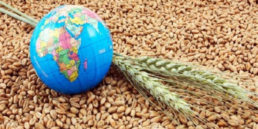 بالأرقام.. تحذيرات أممية من انفجار أزمة غذاء غير مسبوقة