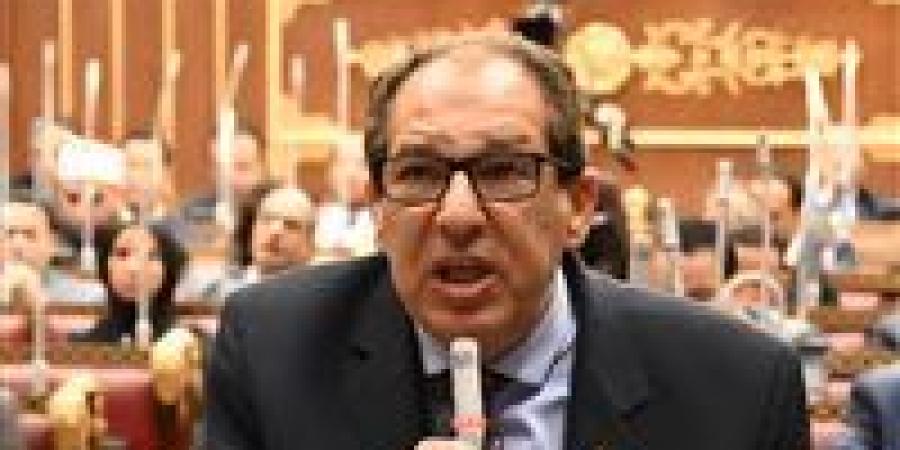 النائب حسام الخولي: لابد من تحديد أهداف تطوير مراكز الشباب قبل التنفيذ