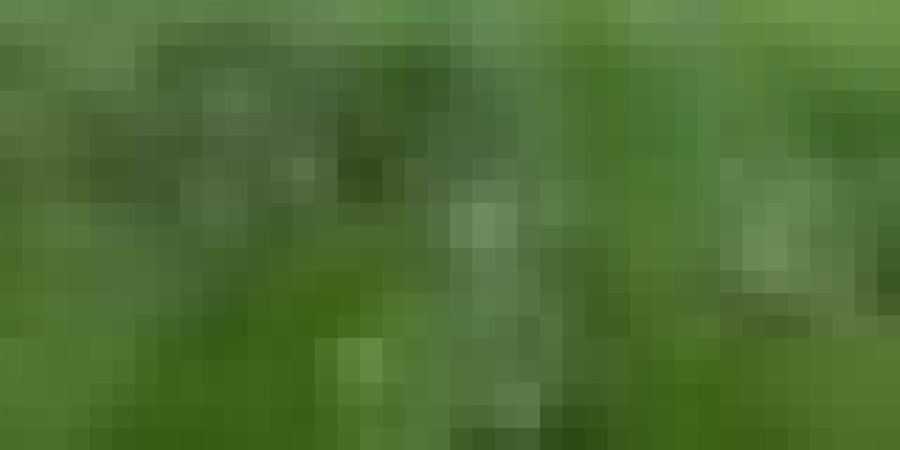 جمعية مغربية تفضح سلطات بلادها باستهداف فريق اتحاد العاصمة خلال مباراته مع فريق آسفي