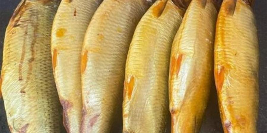 أسعار الفسيخ والرنجة بأسواق محافظة الغربية اليوم الأحد 26 إبريل 2026