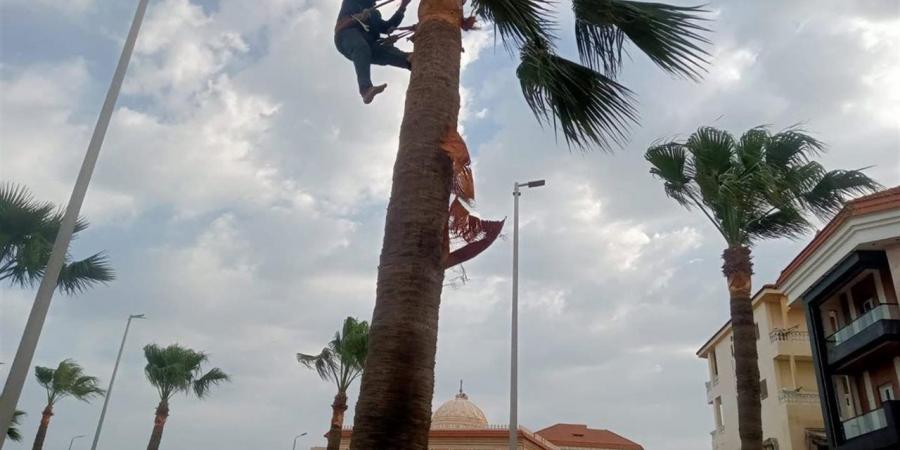 دمياط تطلق الطفطف الكهربائي لتطوير منظومة النقل السياحي برأس البر