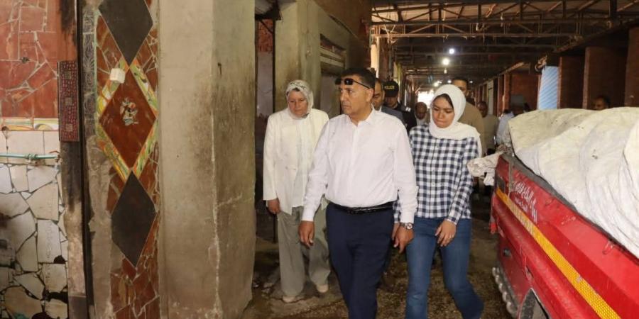 محافظ القليوبية يقود حملات تطوير شبرا الخيمة وطرح أصول للاستثمار