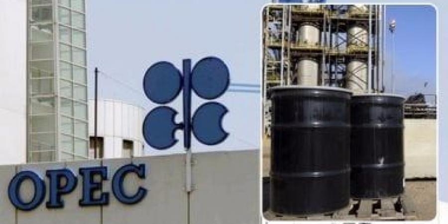 وزير الطاقة الإماراتي: سيكون لدينا مرونة في ظل عدم وجود التزامات بحصص إنتاج النفط