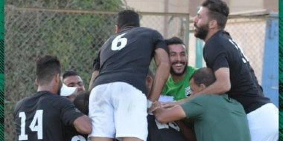 زد يهزم فاركو 1-0 في دورى مجموعة الهبوط