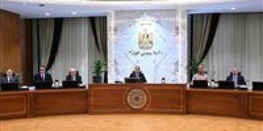 التعاقد مع «موديز وفيتش».. قرارات مجلس الوزراء اليوم الأربعاء