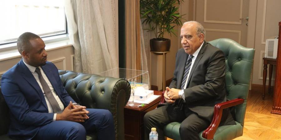 تحرك مصري رواندي لتوسيع الشراكة في مشروعات الرياح والشمس