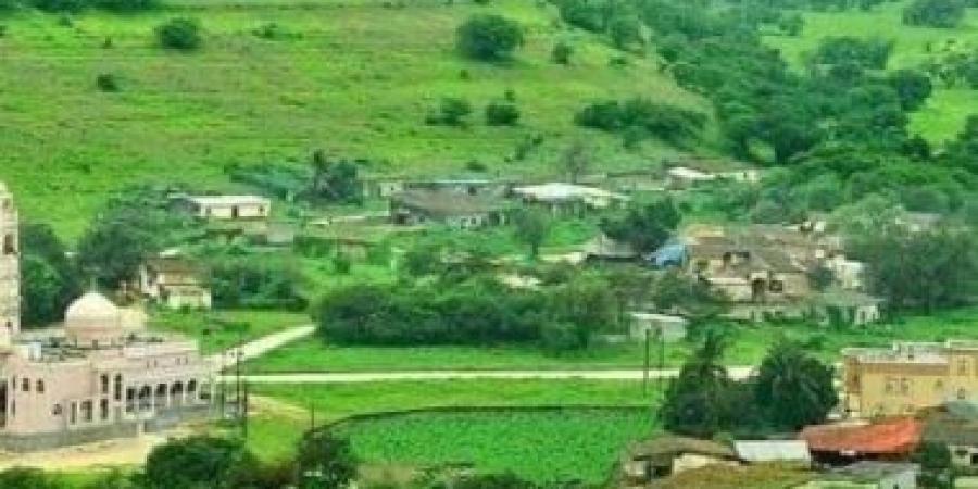 الأمم المتحدة: اعتماد صلالة مركݫا للصمود أمام الكوارث الطبيعية يؤكد ريادتها