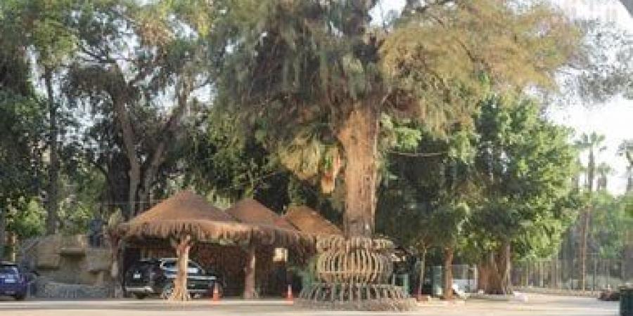 تعرف على أصل كلمة جنينة بعد تغيير اسم حديقة الحيوان