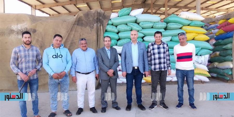 تموين كفر الشيخ: توريد 28 ألفًا و624 طن قمح منذ انطلاق موسم