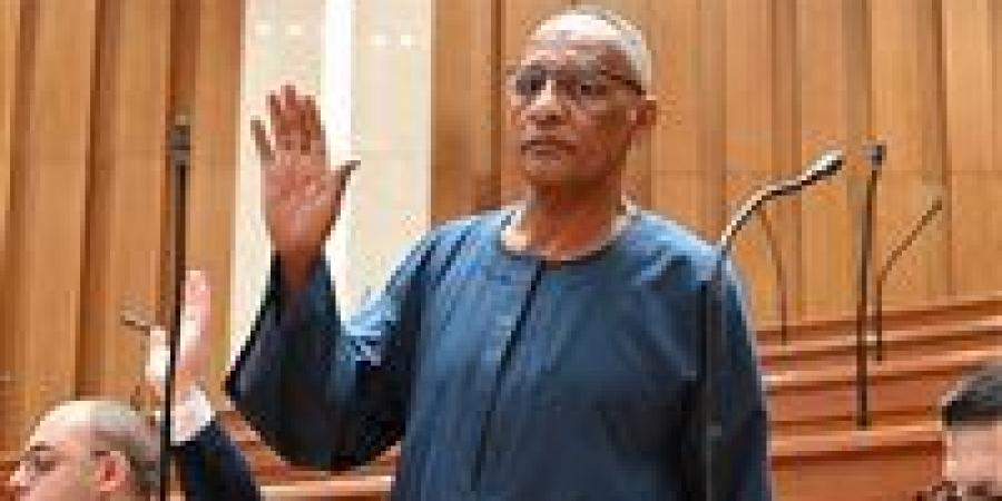 النائب مدحت ركابي يطالب بإنشاء وحدة إسعاف وإطفاء بقرية المنصورية في أسوان