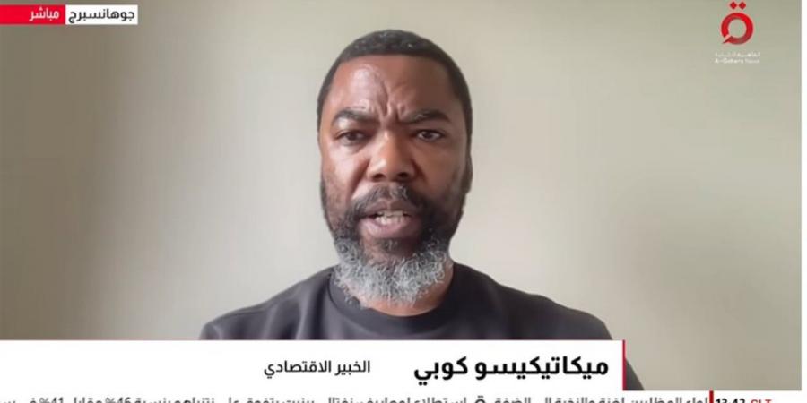 خبير اقتصادي: التمويل والبنية التحتية أبرز عقبات مشاريع الطاقة في إفريقيا
