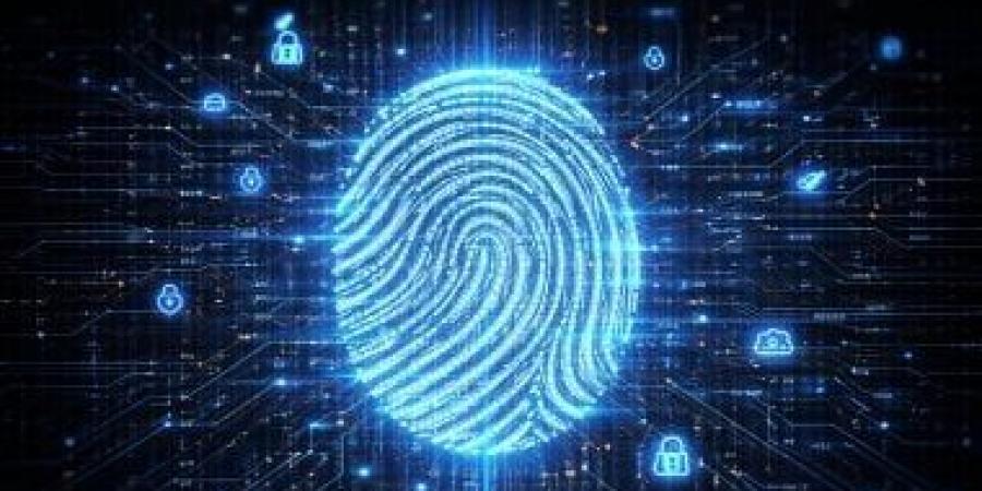 لماذا يجب عليك مسح بياناتك الشخصية وتقليل بصمتك الرقمية؟