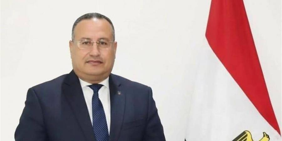 مصر تُناقش آليات إنشاء مراكز تميز بحثية مشتركة مع "هيروشيما اليابانية"