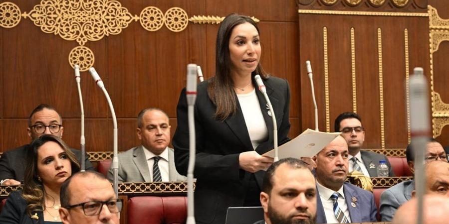 النائبة حنان وجدي تدعو "المالية" لتحمل مسئولياتها في الحفاظ على استدامة منظومة المعاشات
