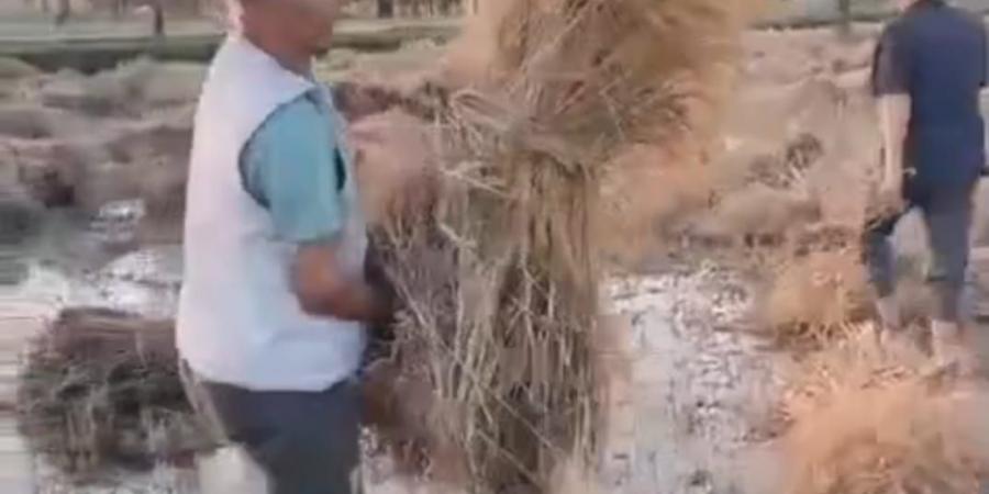 انفجار خط مياه يُغرق أرض قمح في “هواه – المقطع” ويقضي على موسم زراعي كامل
