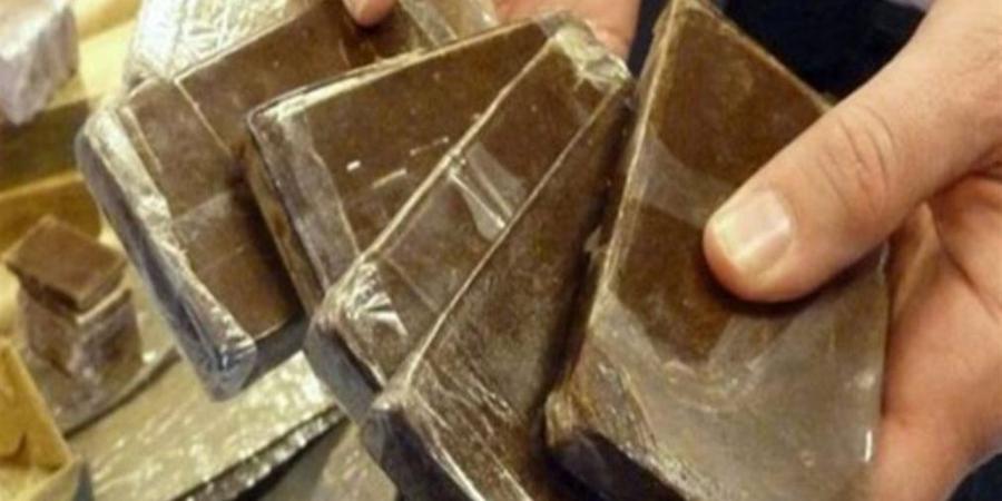 حبس متهمان لحيازة 1000 طربة حشيش بالإسكندرية