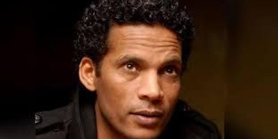سيد العديسى.. قراءة سريعة فى أعمال شاعر كبير