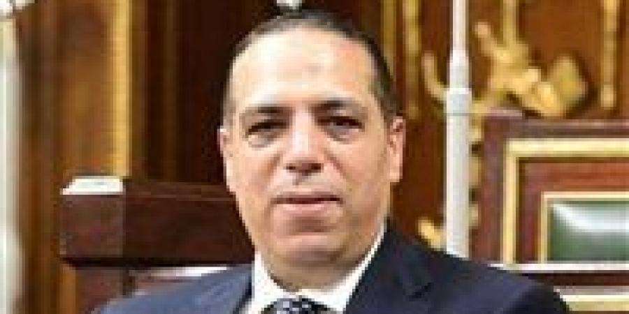 الصافي عبد العال: توجيهات السيسي للحكومة تعكس حرصًا حقيقيًا على تعزيز الحماية الاجتماعية وضبط الأسواق
