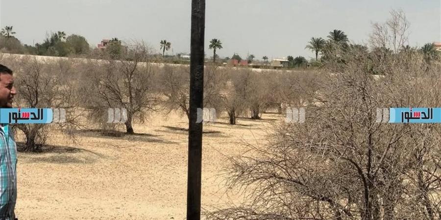 جهاز سفنكس الجديدة يستعيد 72.58 فدان غرب الطريق الصحراوي