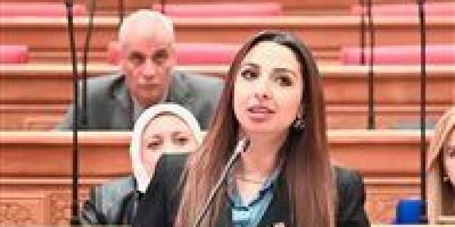 النائبة نشوى الشريف: الحكومة تركت أزمات أصحاب المعاشات واتجهت لتعديل محدود وتعطل السيستم تسبب في معاناة كبيرة