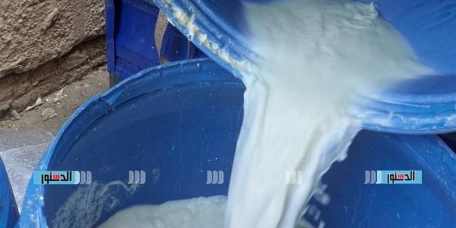 أسعار الألبان والجبن ومشتقاتها بأسواق بورسعيد اليوم الثلاثاء 5 مايو 2026 مع توافر المعروض