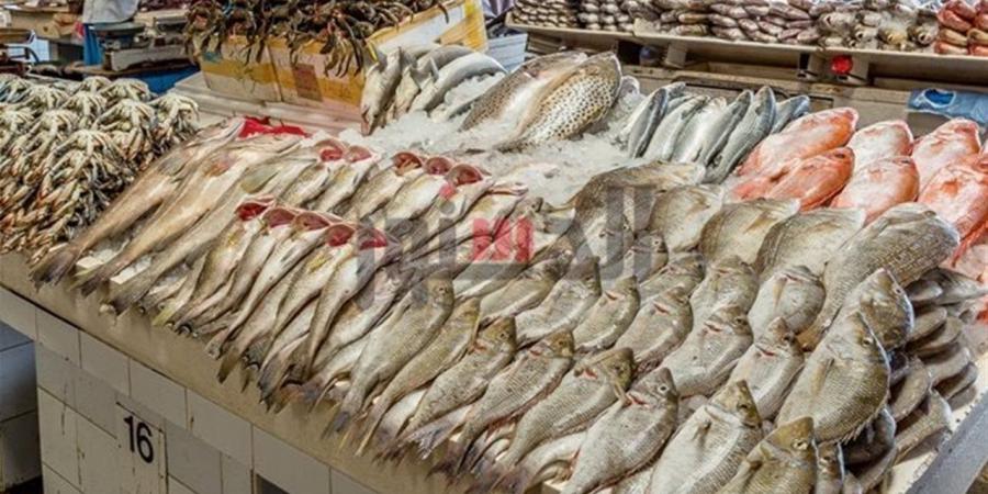 أسعار الأسماك والمأكولات البحرية في أسواق بورسعيد اليوم الثلاثاء 5 مايو 2026