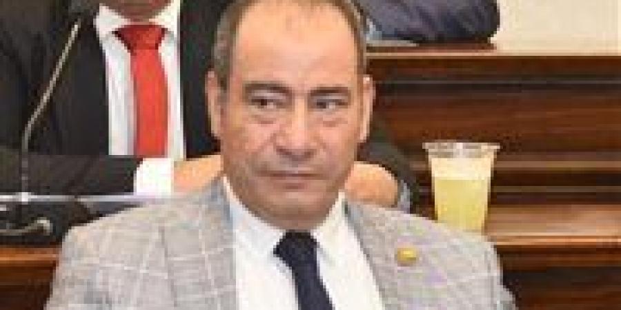 مجاهد نصار: لقاء السيسي رئيس بنك التنمية الأفريقي يعزز الشراكة الاقتصادية ويدعم رؤية مصر 2030 والتكامل القاري