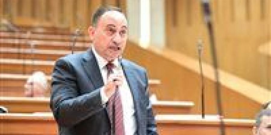 النائب محمد زين الدين: رضا المواطن المؤشر الحقيقي لنجاح واستقرار الاقتصاد
