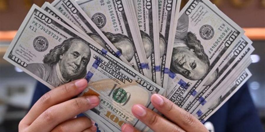 سعر الدولار مقابل الجنيه المصري اليوم الثلاثاء 5 مايو 2026 في البنوك