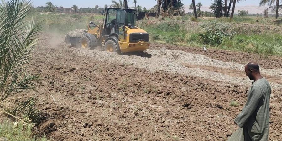 إزالة فورية لتعديات على أراضي زراعية وأملاك دولة بالزينية