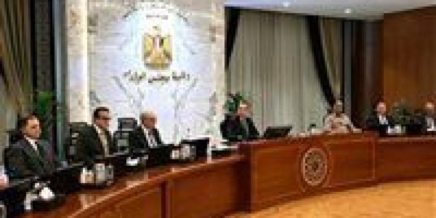 خبير إدارة أعمال لـ تحيا مصر: اشتراط الطاقة المتجددة بالمصانع الجديدة يعيد تشكيل الصناعة مستقبل